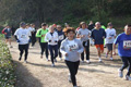 villaadaabio-051051