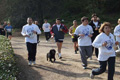 villaadaabio-053053