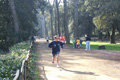 villaadaabio-059059