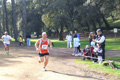villaadaabio-063063