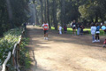 villaadaabio-081081