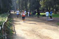 villaadaabio-091091