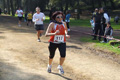 villaadaabio-093093
