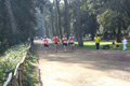 villaadaabio-107107