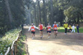 villaadaabio-108108