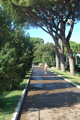 trofeopodistica09-159