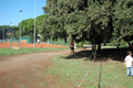trofeopodistica09-567