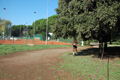 trofeopodistica09-568