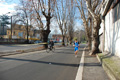 miguel_colamonico_081