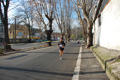 miguel_colamonico_082