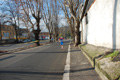 miguel_colamonico_084