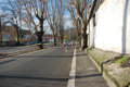 miguel_colamonico_085