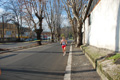 miguel_colamonico_086