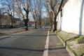 miguel_colamonico_087