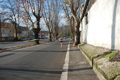 miguel_colamonico_088