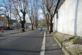 miguel_colamonico_090