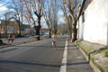miguel_colamonico_091