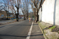 miguel_colamonico_095