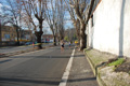 miguel_colamonico_097