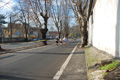 miguel_colamonico_100