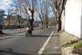 miguel_colamonico_102