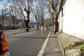 miguel_colamonico_105