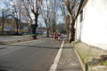 miguel_colamonico_107