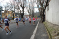 miguel_colamonico_119