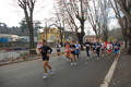 miguel_colamonico_151