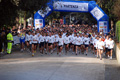 telethon_2596