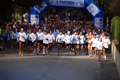 telethon_2601