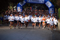 telethon_2603