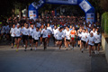 telethon_2604