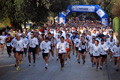 telethon_2617