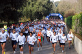 telethon_2626