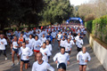telethon_2632