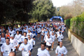 telethon_2633