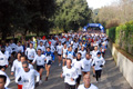 telethon_2635