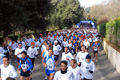 telethon_2638