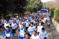 telethon_2639