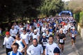 telethon_2641