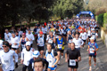 telethon_2643