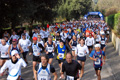 telethon_2644
