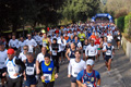 telethon_2646