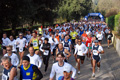 telethon_2647