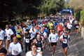 telethon_2648