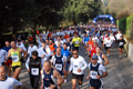 telethon_2649