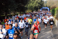telethon_2652
