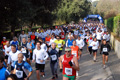 telethon_2653