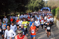 telethon_2655